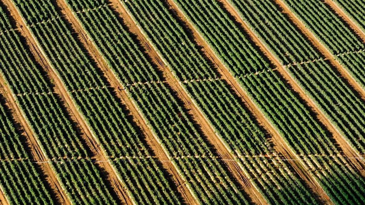 The Content Calendar Template We Use for Every Client