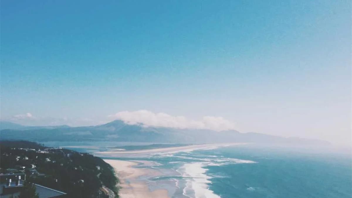 Pest Control Marketing Ideas That Actually Fill Your Schedule