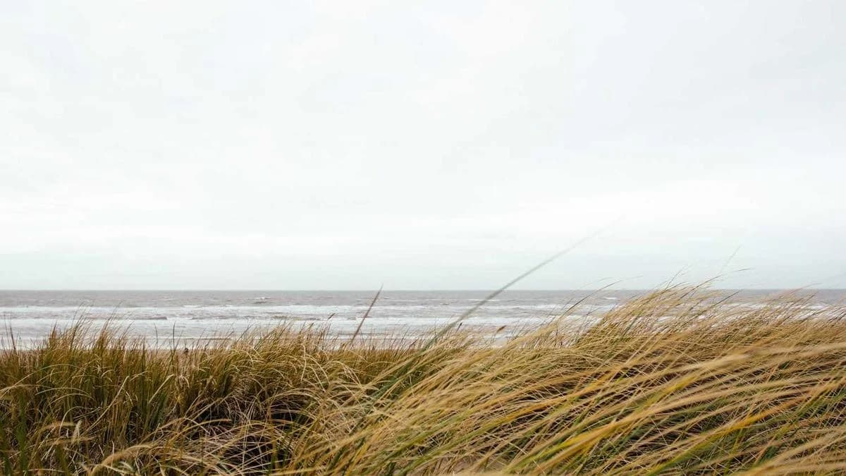 LinkedIn Ads for B2B: A Complete Guide