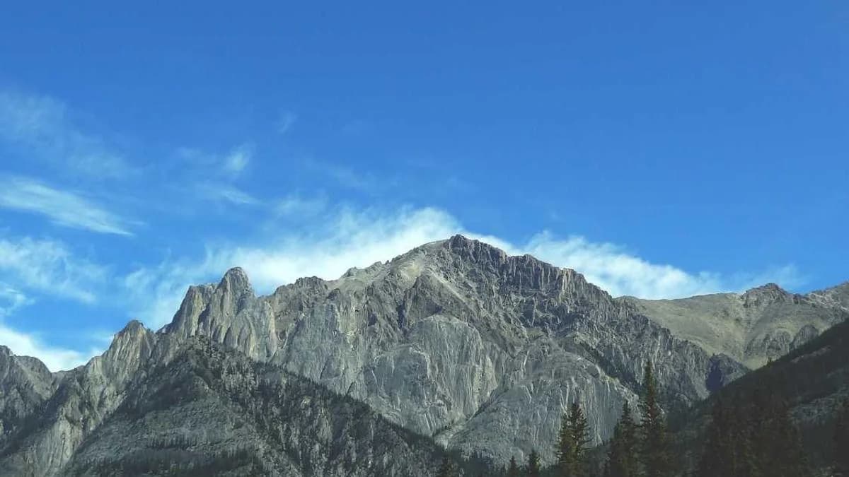 How to Analyze Competitor Backlinks and Find Opportunities