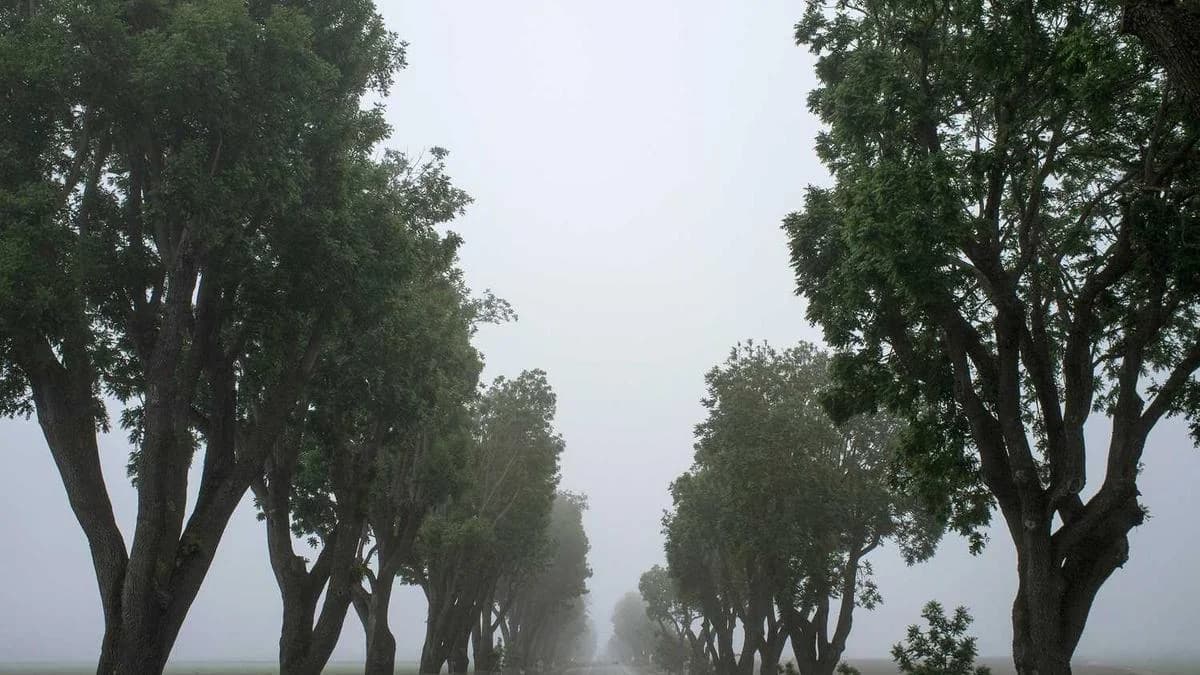 Local SEO Ranking Factors That Actually Matter in 2026