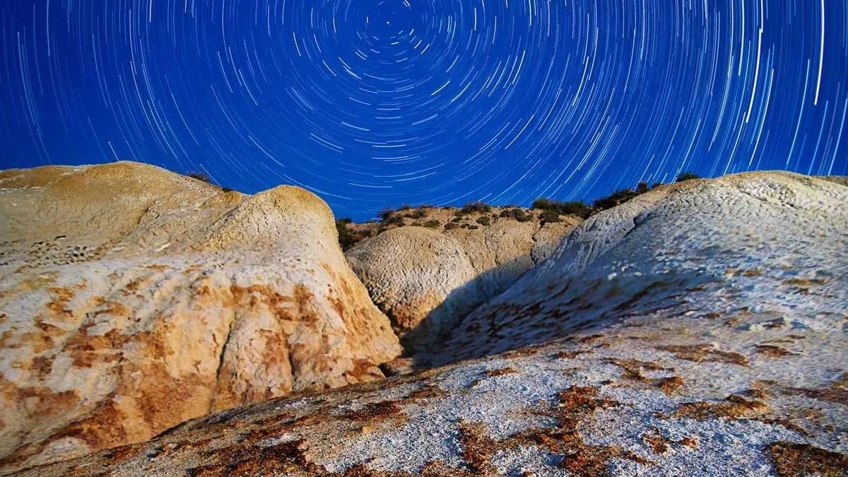 10 Google Ads Optimization Tips for 2026