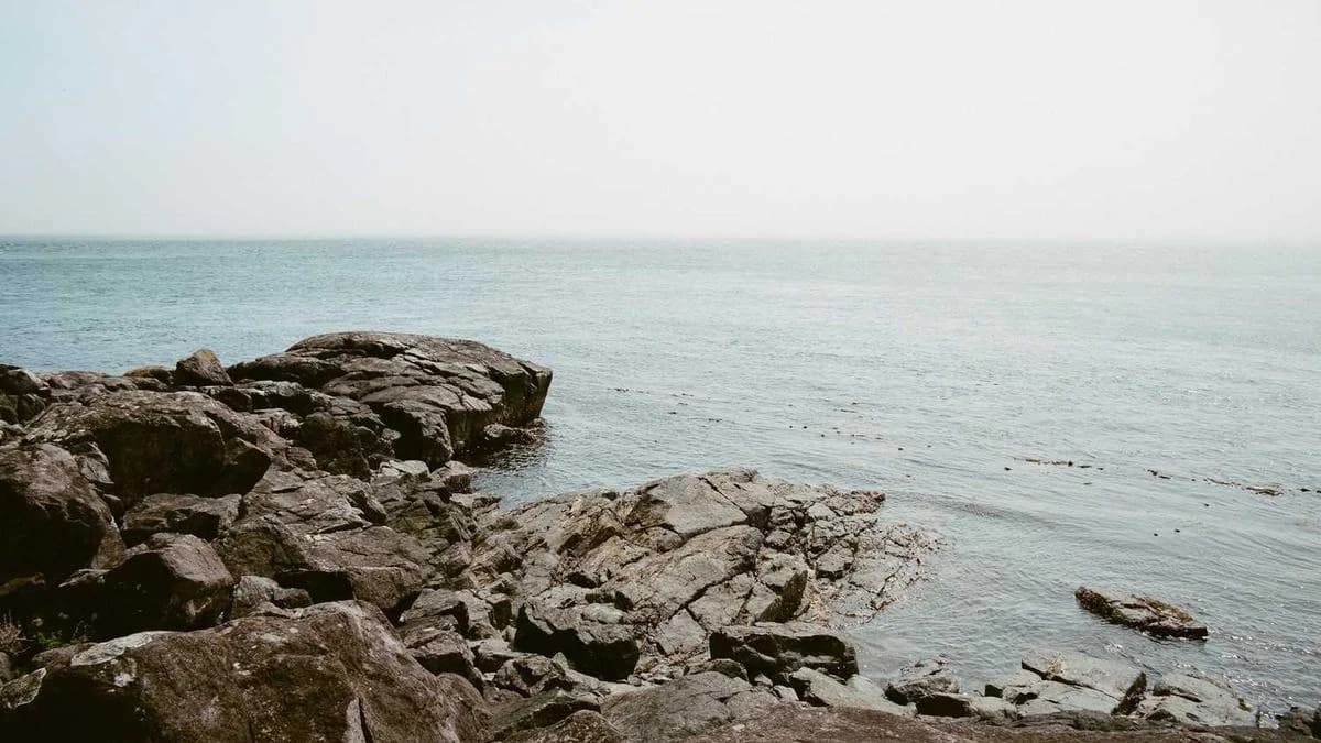 10 Google Ads Optimization Tips for 2026