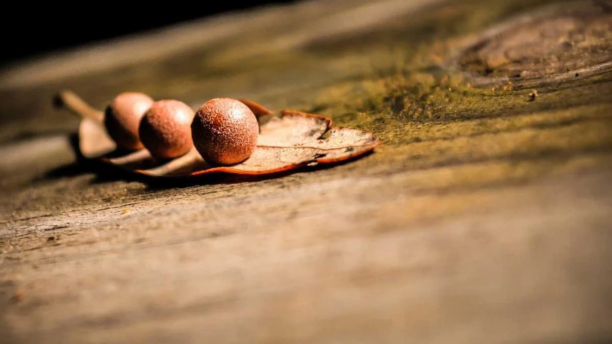 2026 SEO Trends Every Marketer Needs to Know