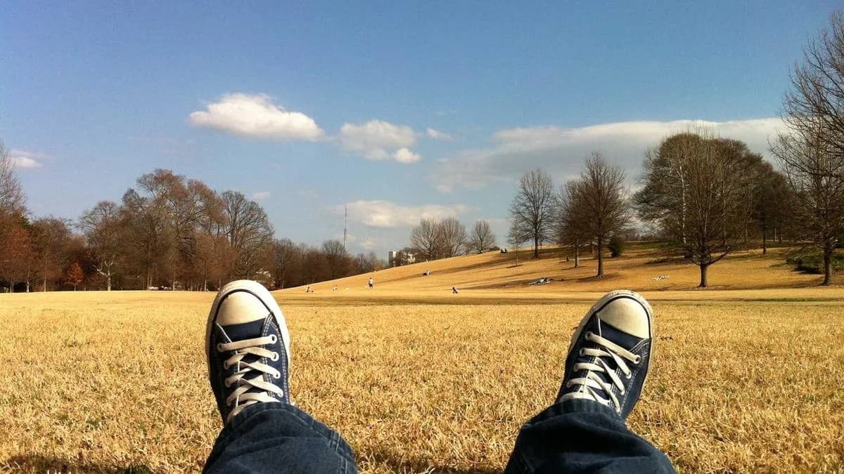 How We Achieved a 98/100 PageSpeed Score